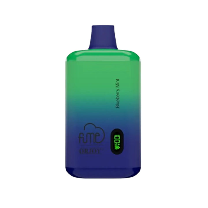 Blueberry Mint Fume Recharge 5000  Disposable vape