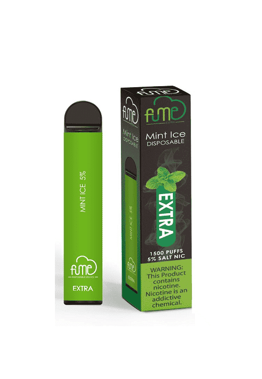 Mint Ice - Fume Extra Disposable